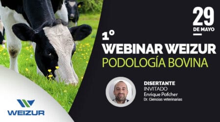 2º Webinar Podología bovina parte 2