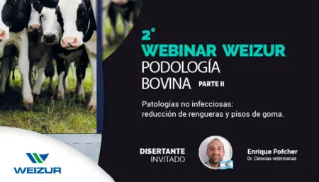 1º Webinar Podología bovina