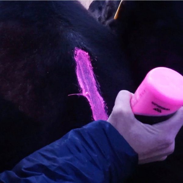 Celocheck Fluo - Pintura Marcadora - Imagen 8